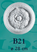  B21