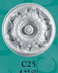   C25