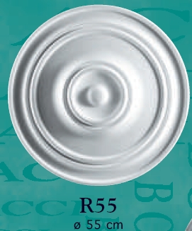   R55